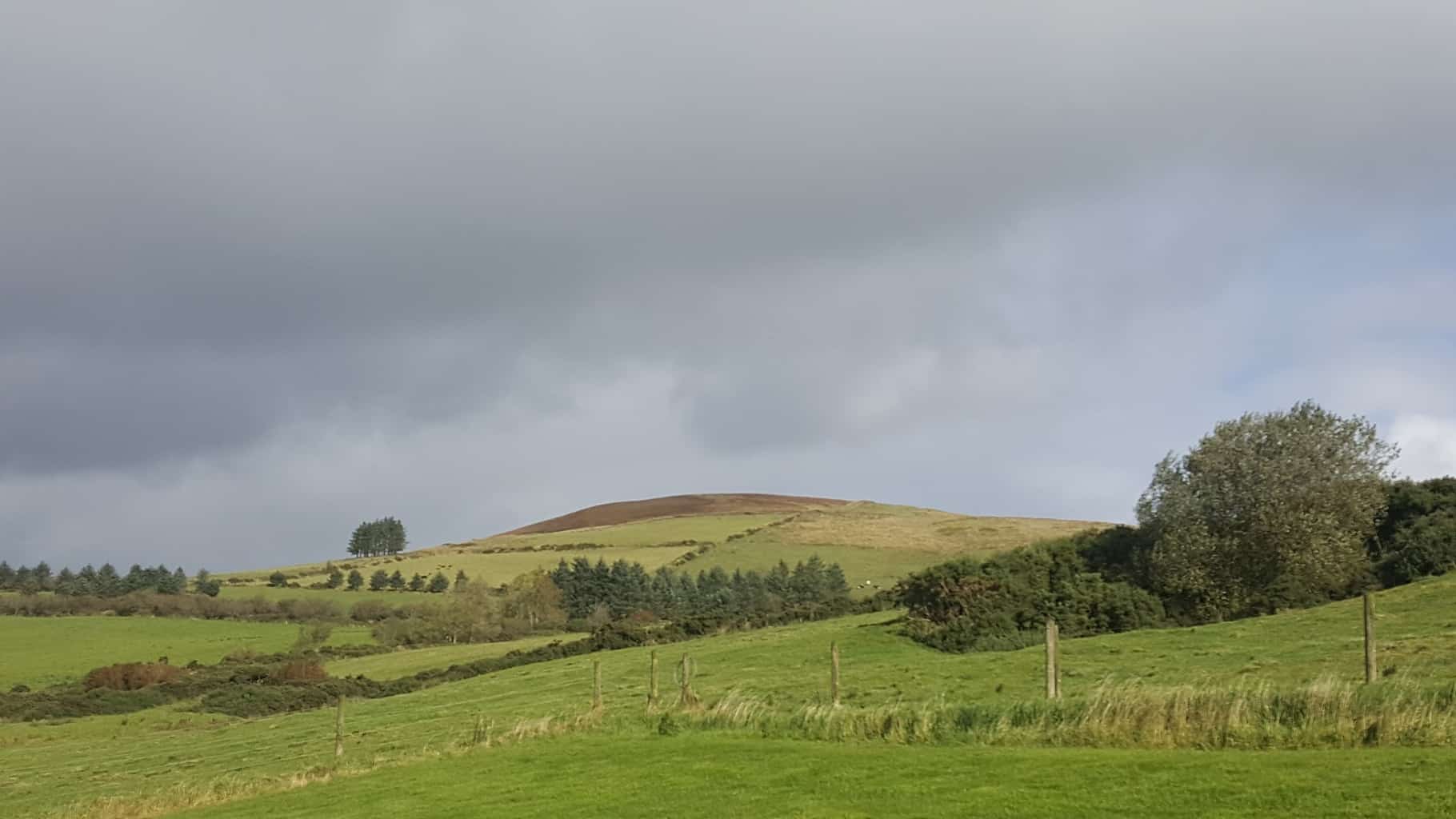 Krów nie widać - zwiało