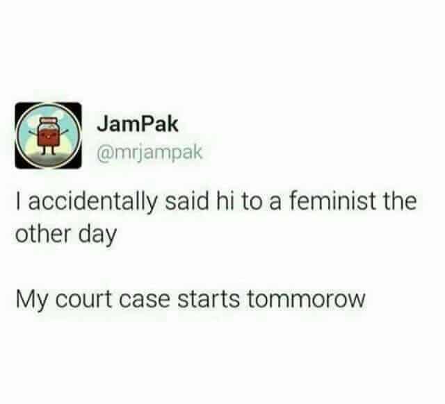 hi-feminist